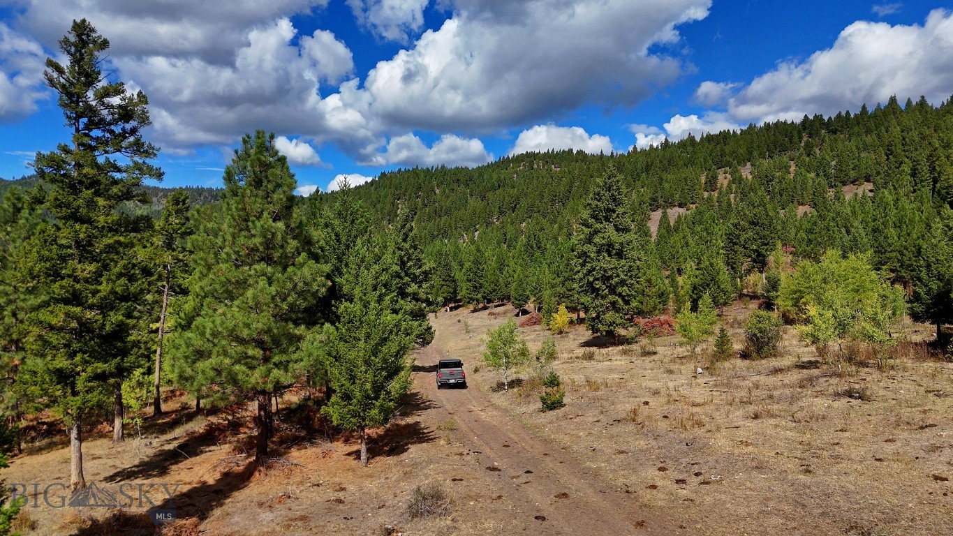 Nhn Bearmouth Ranch Property Photo 51