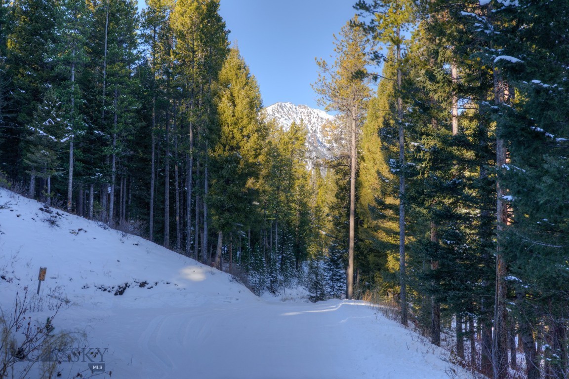 1155 &1269 Dudley Creek Road Property Photo 6