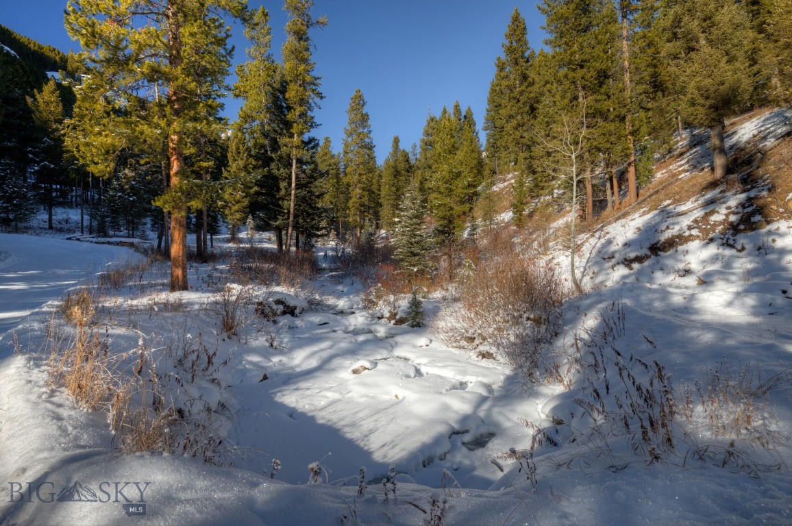 1155 &1269 Dudley Creek Road Property Photo 32