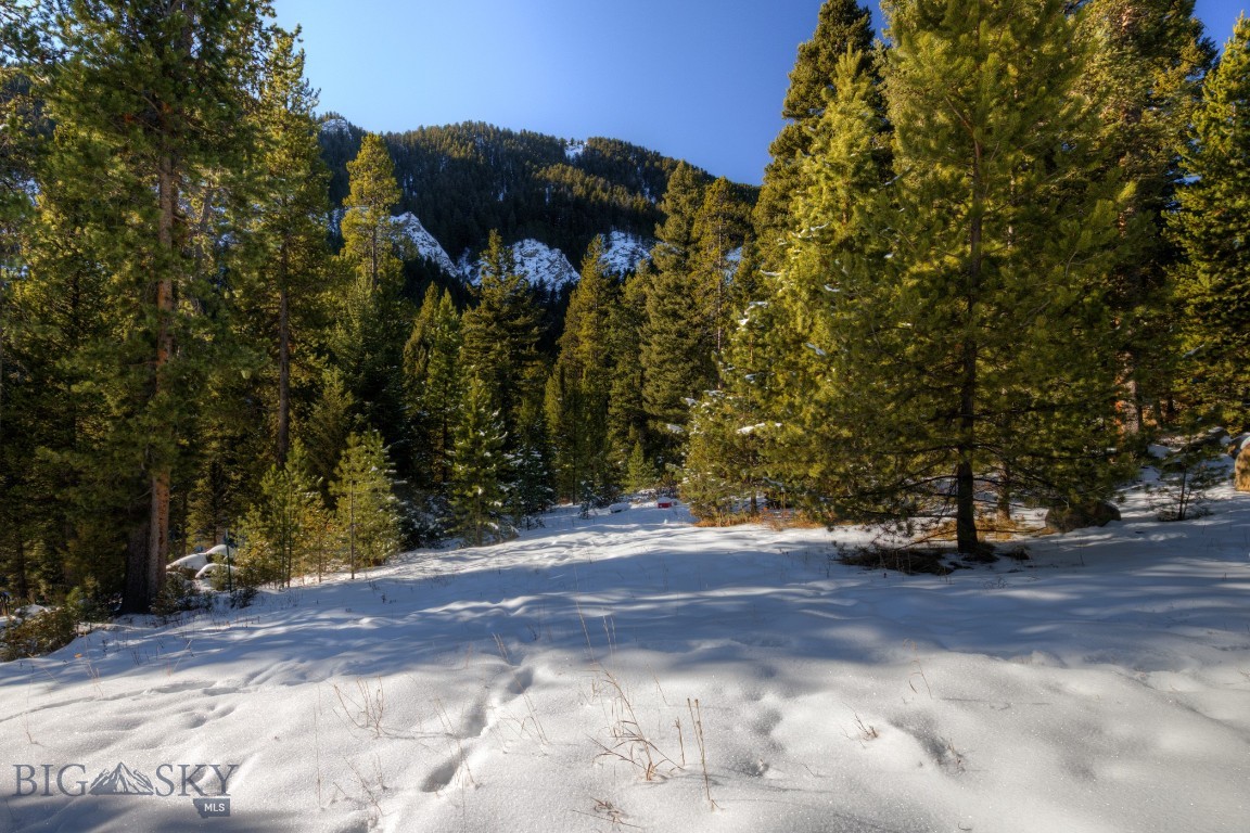 1155 &1269 Dudley Creek Road Property Photo 33