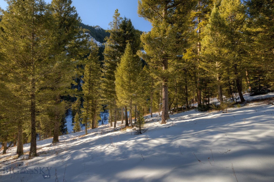 1155 &1269 Dudley Creek Road Property Photo 34