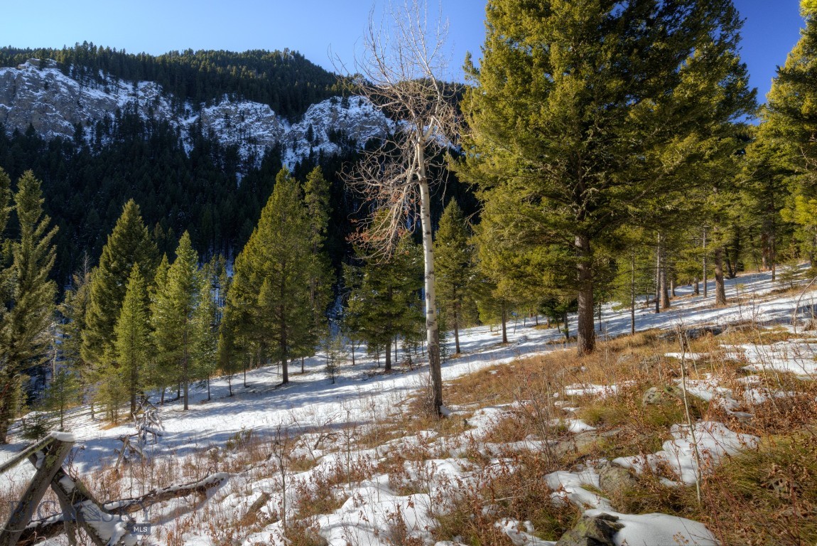 1155 &1269 Dudley Creek Road Property Photo 35