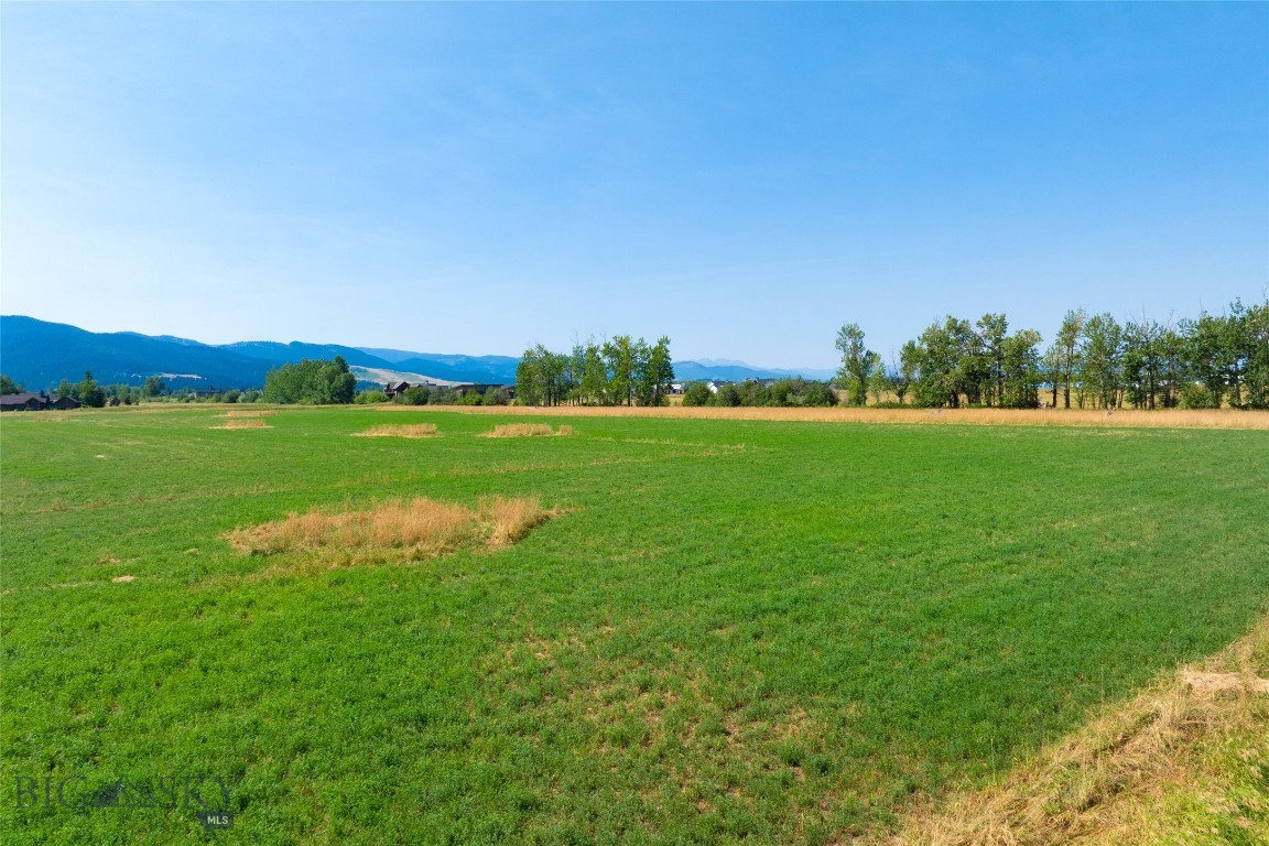 Lot 6 Reilley Road Property Photo 6
