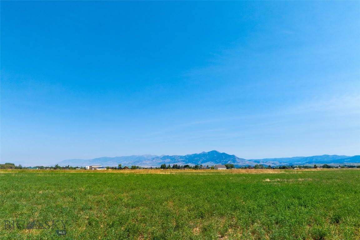 Lot 6 Reilley Road Property Photo 10