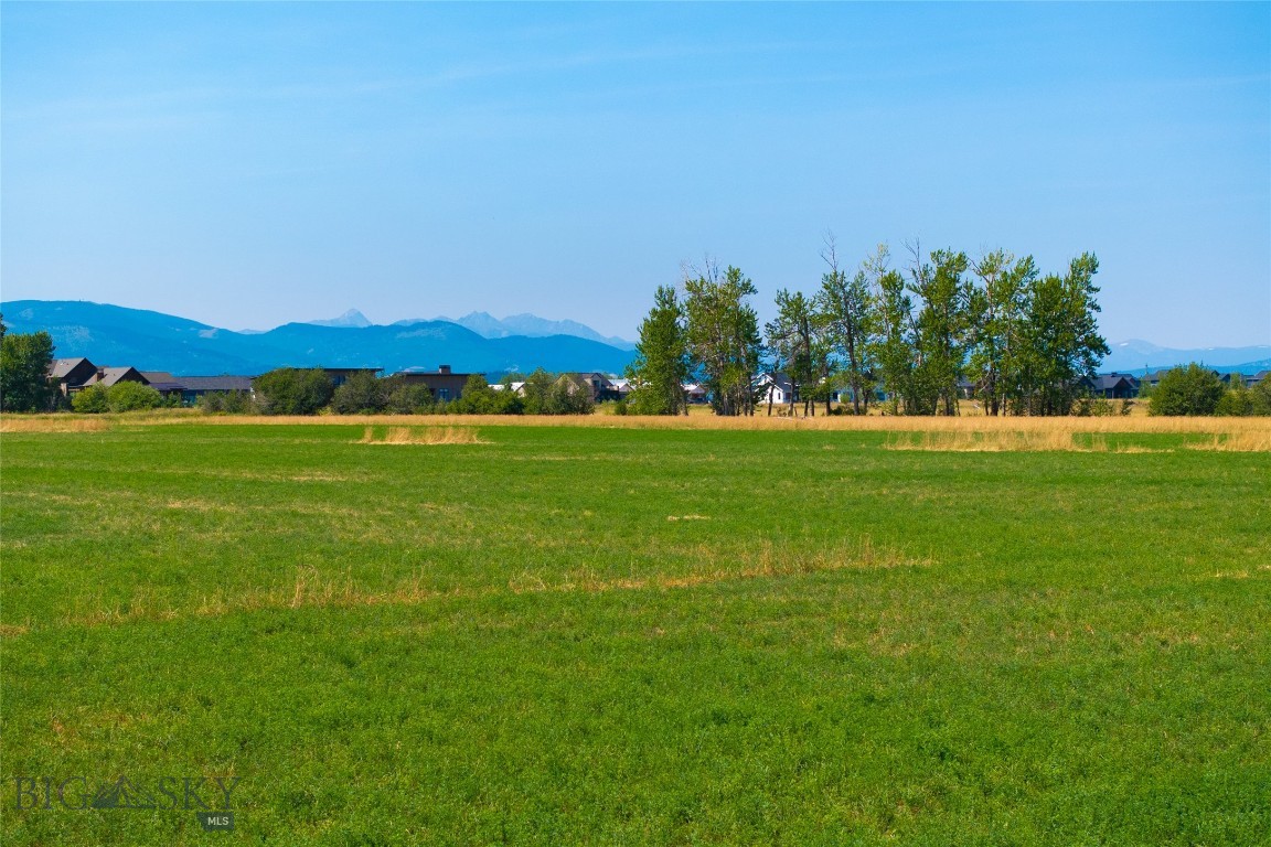 Lot 6 Reilley Road Property Photo 11