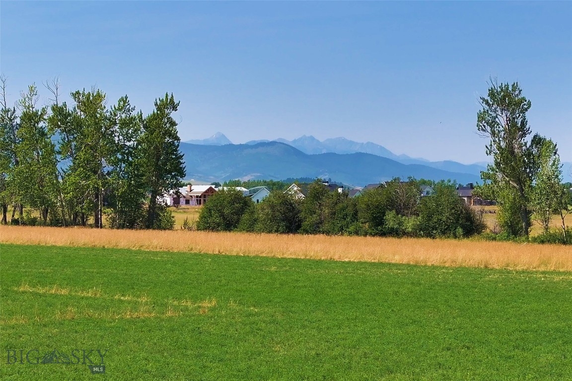 Lot 6 Reilley Road Property Photo 15