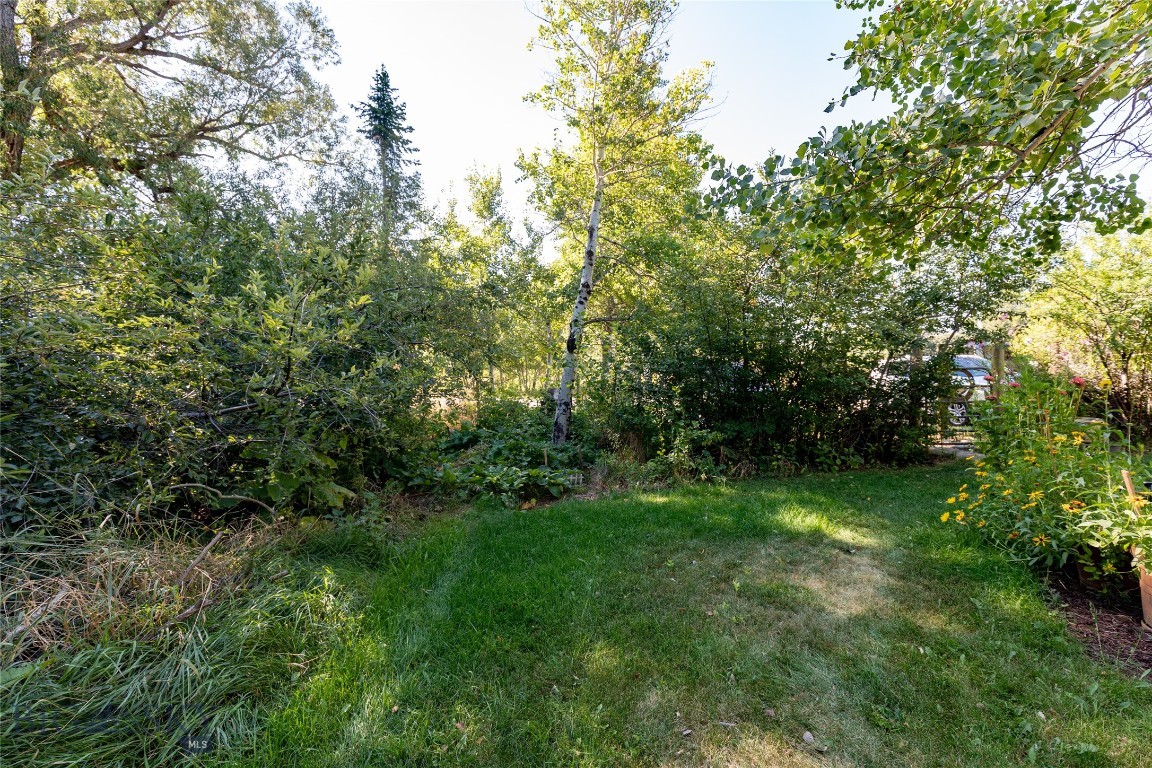 202 W Armitage Street Property Photo 56