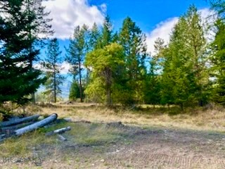 Nhn River Road W Property Photo 13