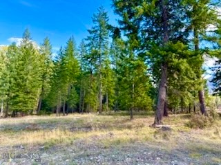 Nhn River Road W Property Photo 15