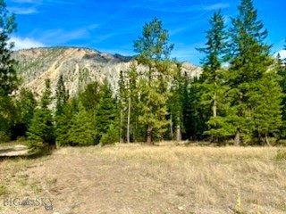 Nhn River Road W Property Photo 22