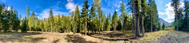 Nhn River Road W Property Photo 25