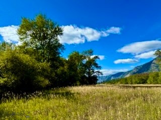 Nhn River Road W Property Photo 27