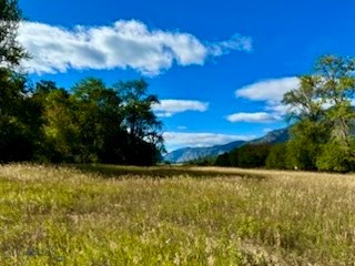 Nhn River Road W Property Photo 29
