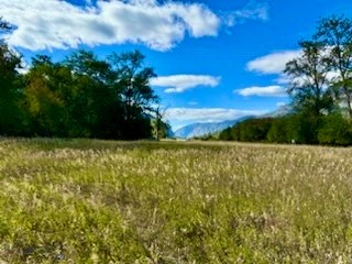 Nhn River Road W Property Photo 30