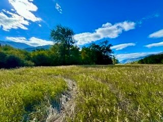 Nhn River Road W Property Photo 31