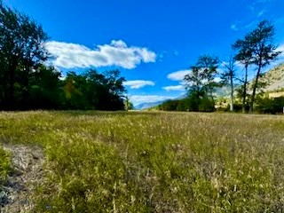 Nhn River Road W Property Photo 32