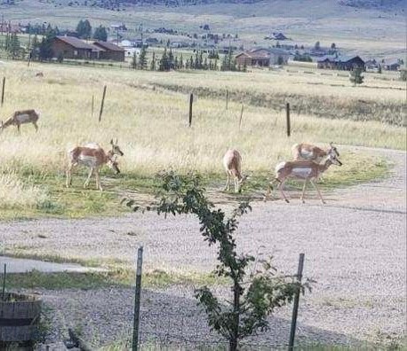 193 Tobe Road Property Photo 55