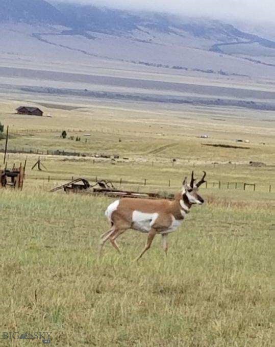 193 Tobe Road Property Photo 56