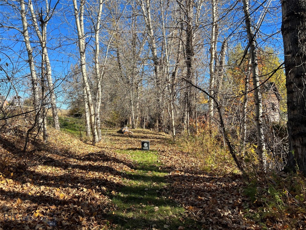 99 Madison Street Property Photo 20