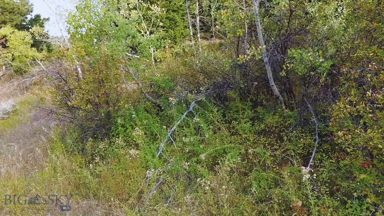 000 Chestnut Road Property Photo 2