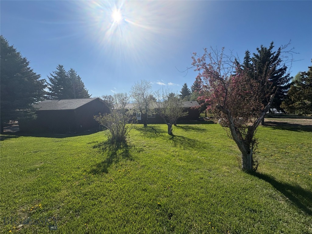 1050 Hwy 55 Property Photo 4