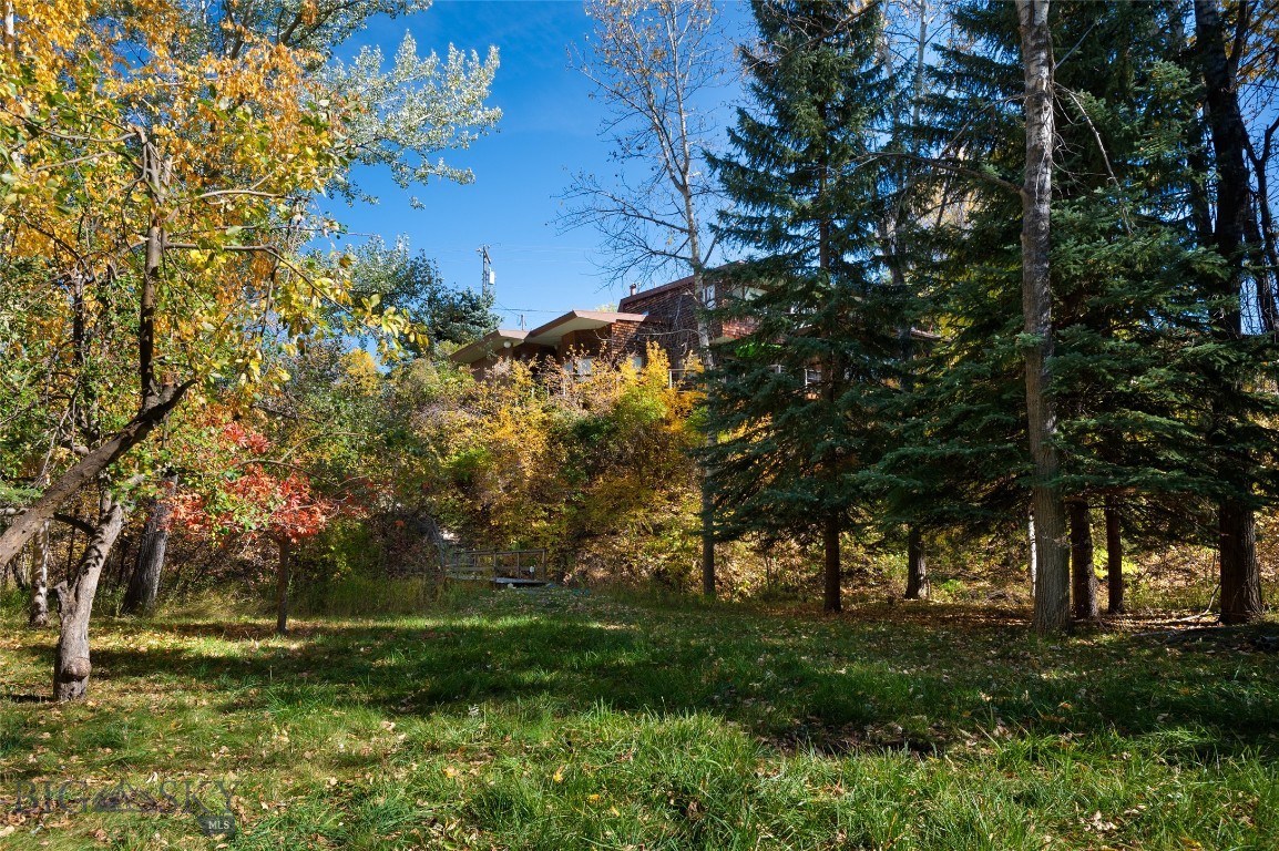 Property Photo 41