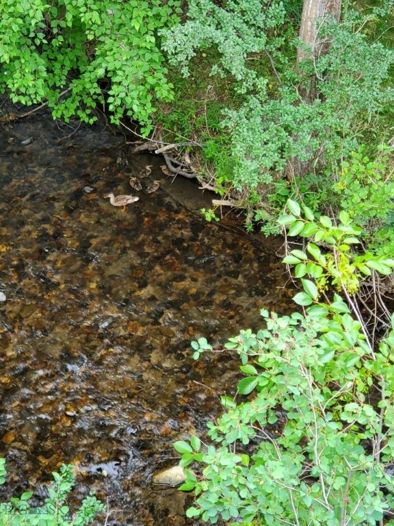 Property Photo 43