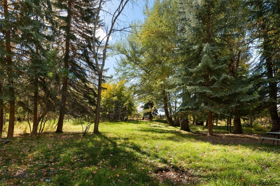 Property Photo 44