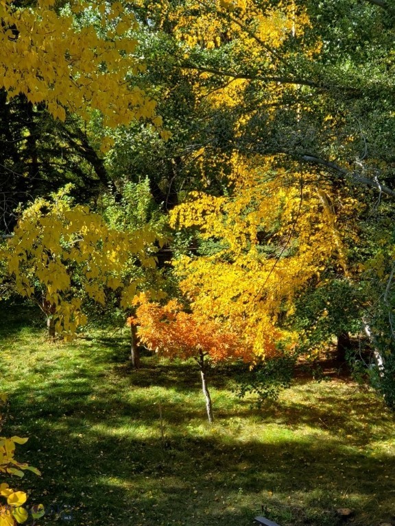 Property Photo 48