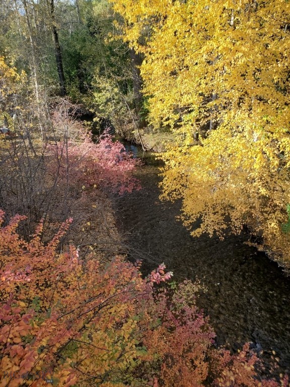 Property Photo 49