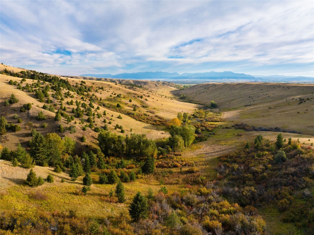 Tbd Stampede Trail Property Photo 14