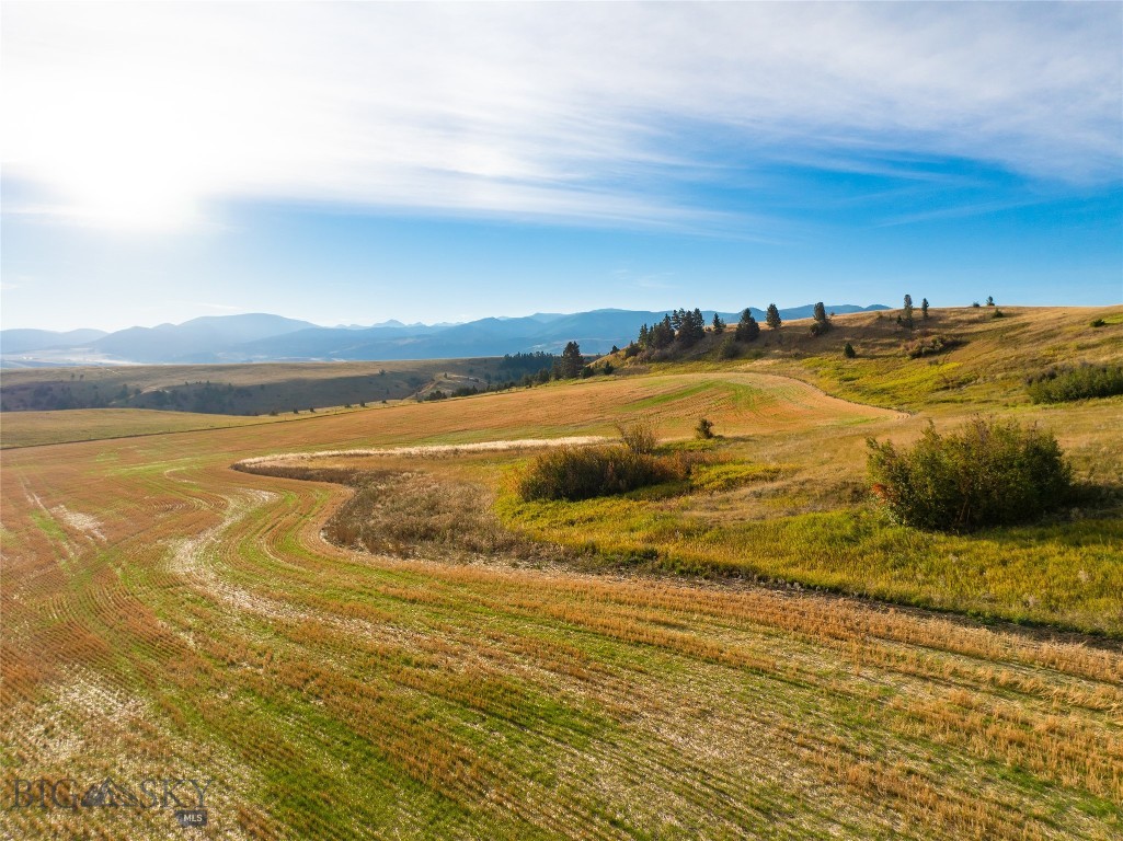 Tbd Stampede Trail Property Photo 16