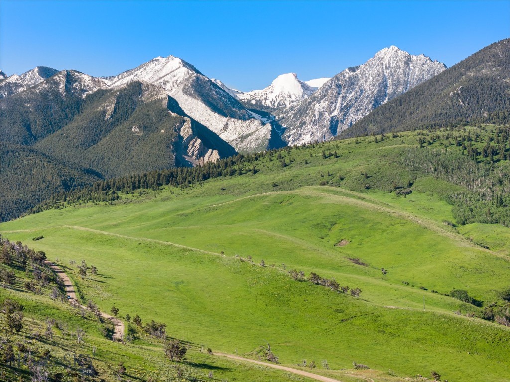 Tbt Bruffy Property Photo 2