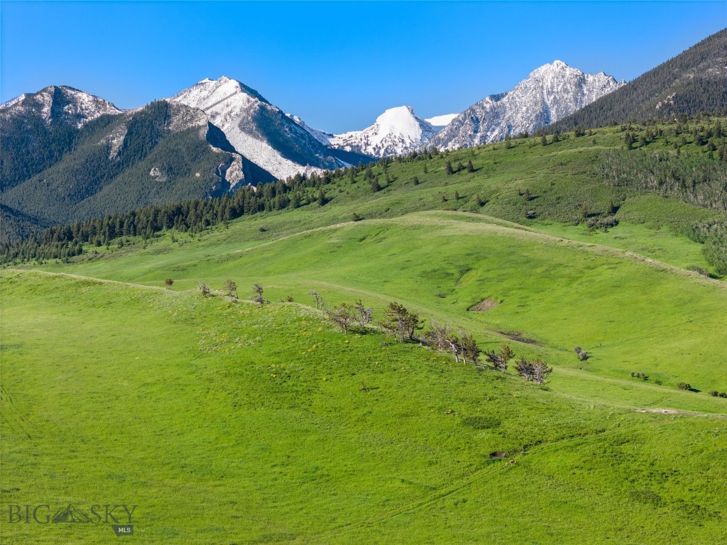 Tbt Bruffy Property Photo 5