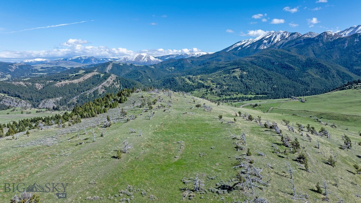 Tbt Bruffy Property Photo 6