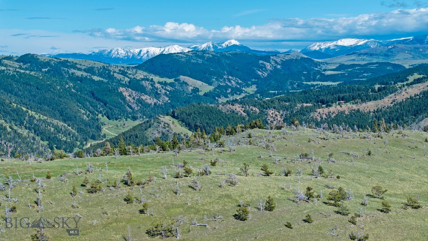 Tbt Bruffy Property Photo 8