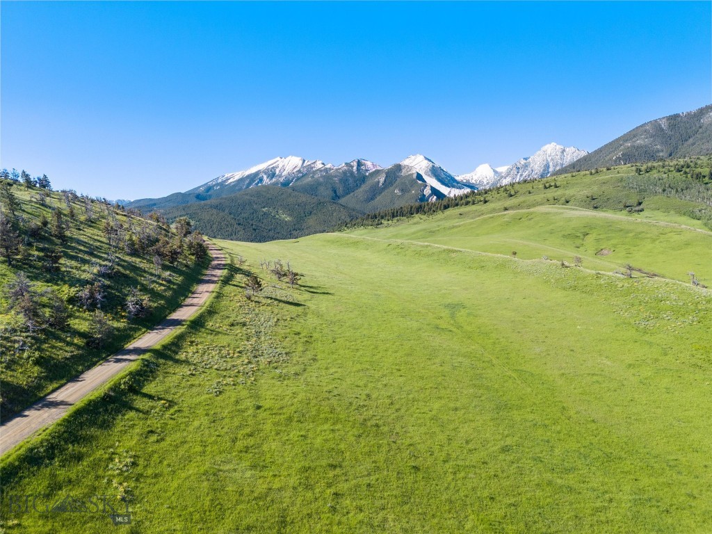 Tbt Bruffy Property Photo 9