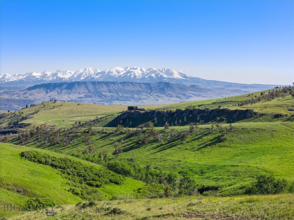 Tbt Bruffy Property Photo 10