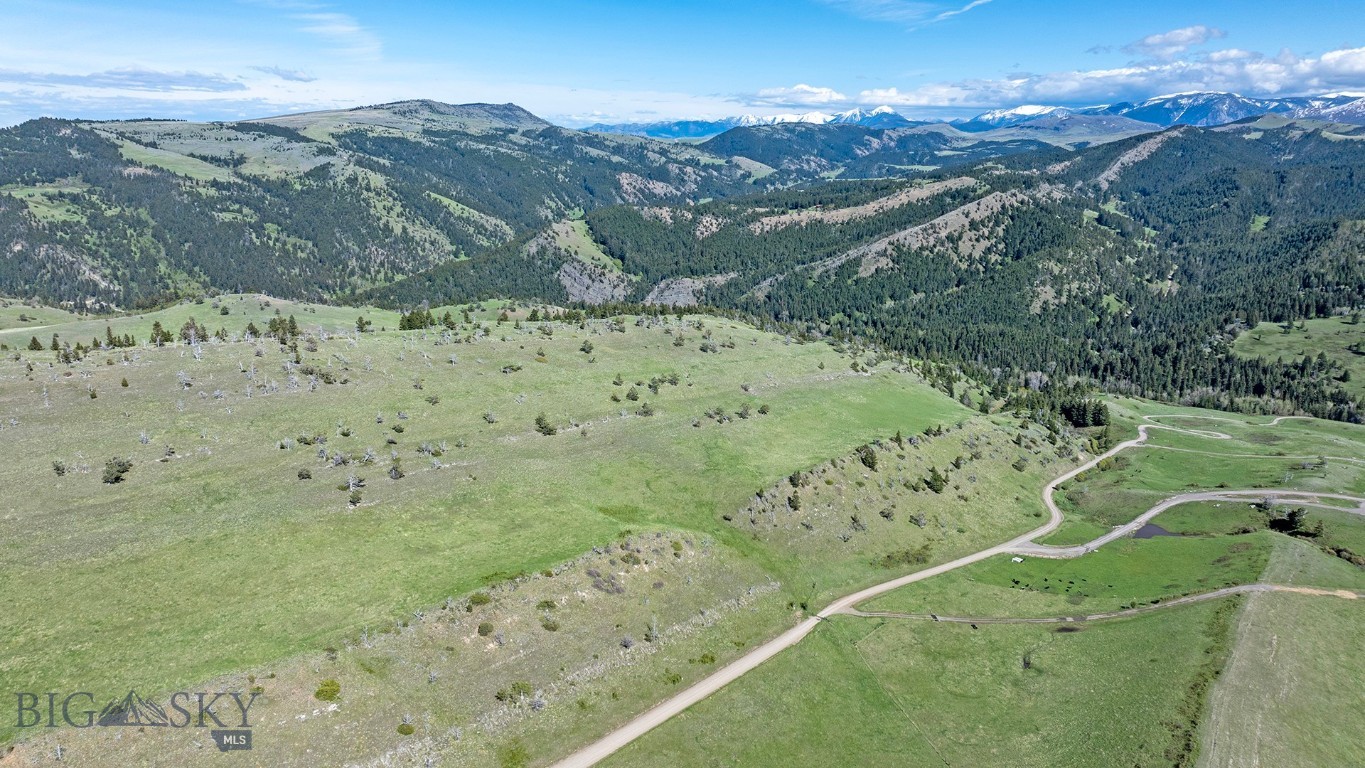 Tbt Bruffy Property Photo 11