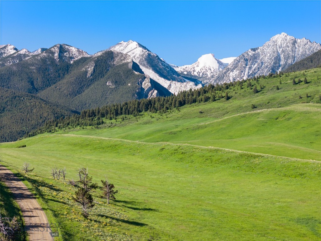 Tbt Bruffy Property Photo 12