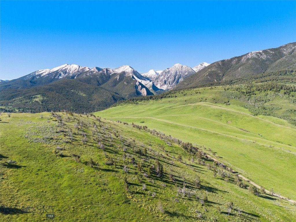 Tbt Bruffy Property Photo 13