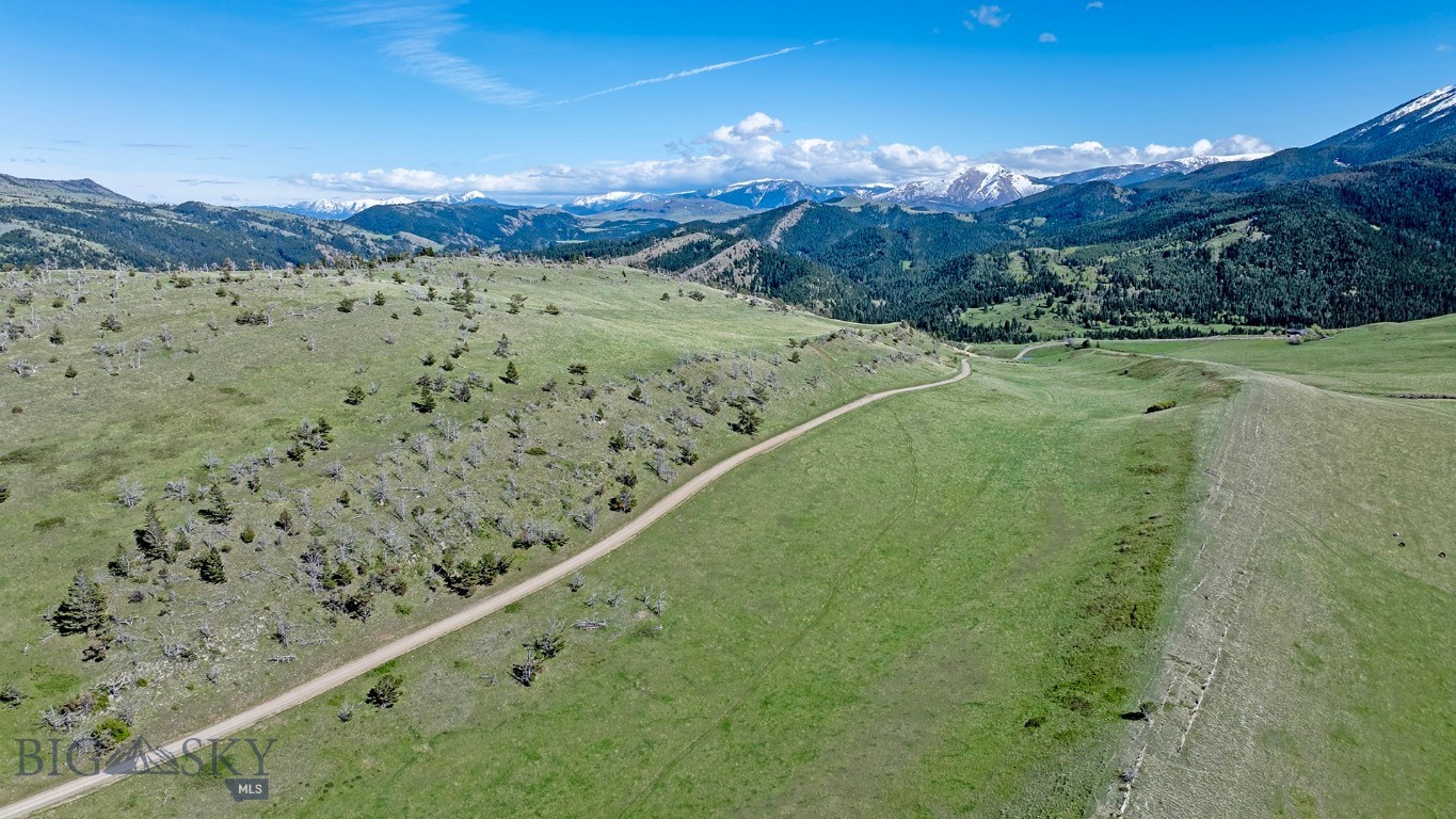 Tbt Bruffy Property Photo 14