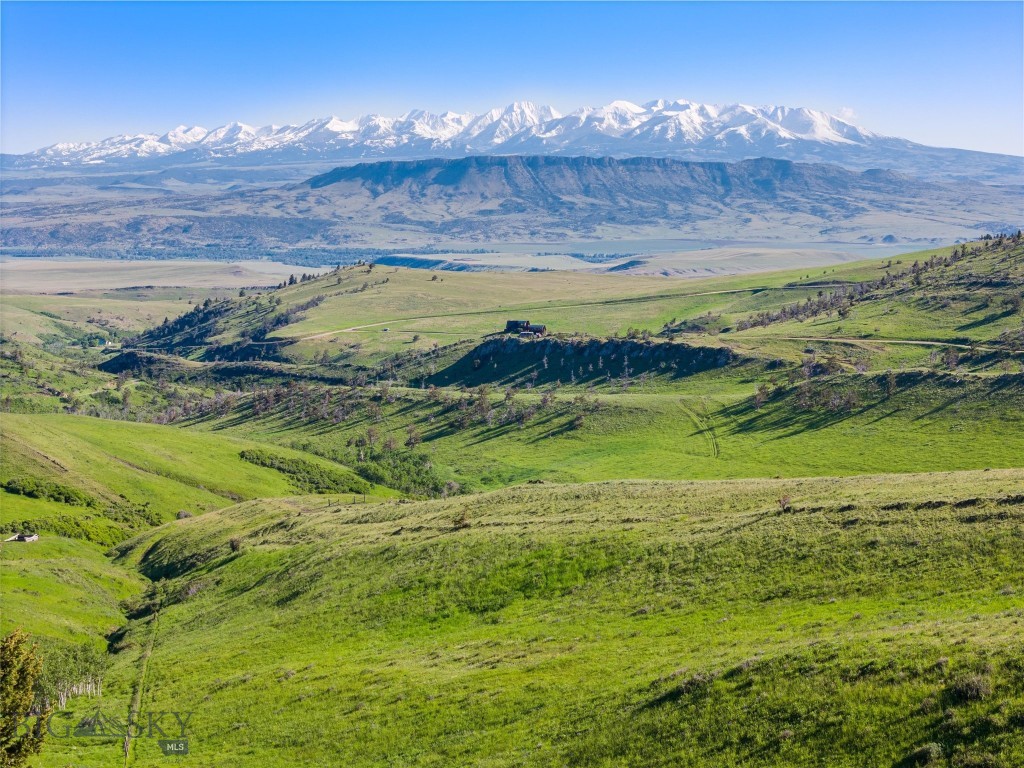 Tbt Bruffy Property Photo 15