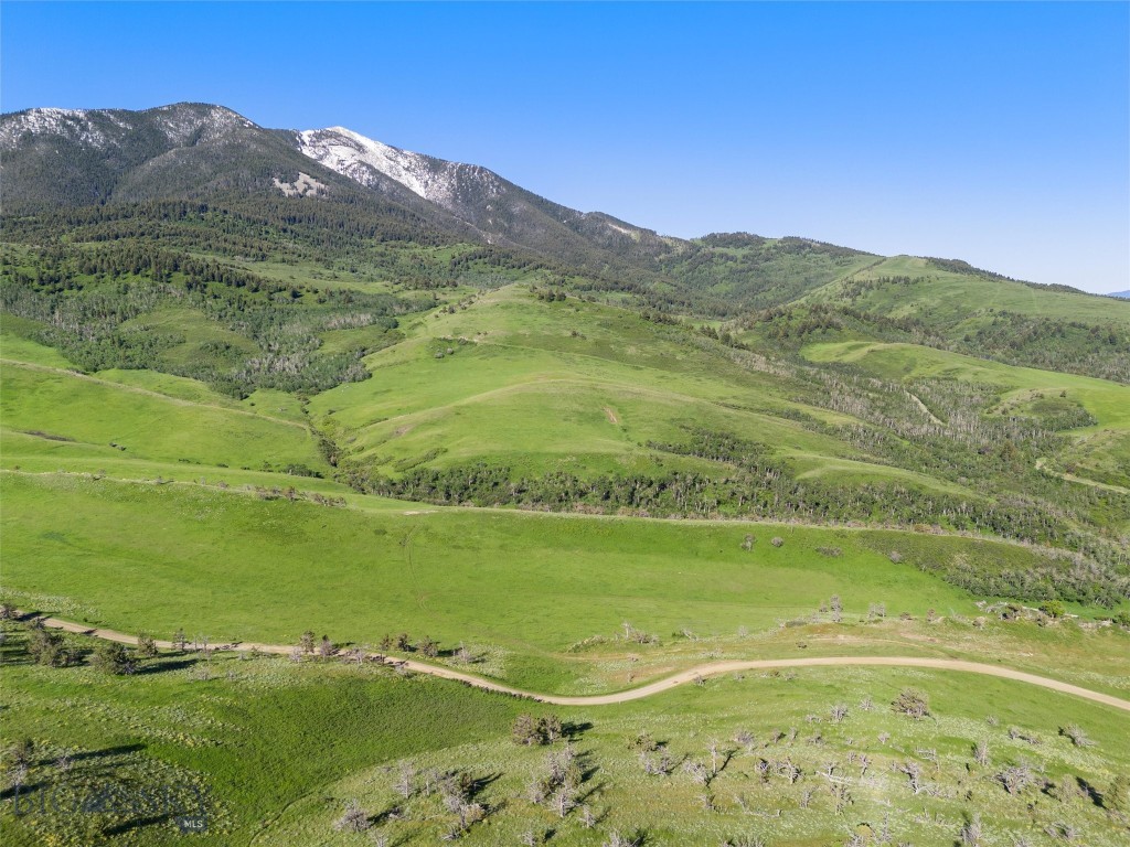 Tbt Bruffy Property Photo 16