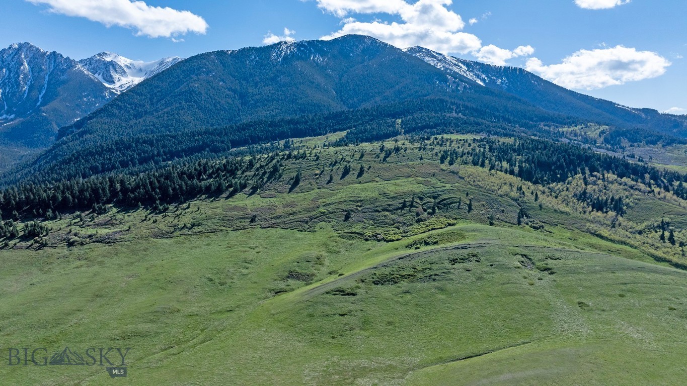 Tbt Bruffy Property Photo 17