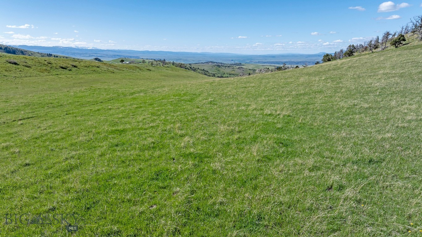 Tbt Bruffy Property Photo 18