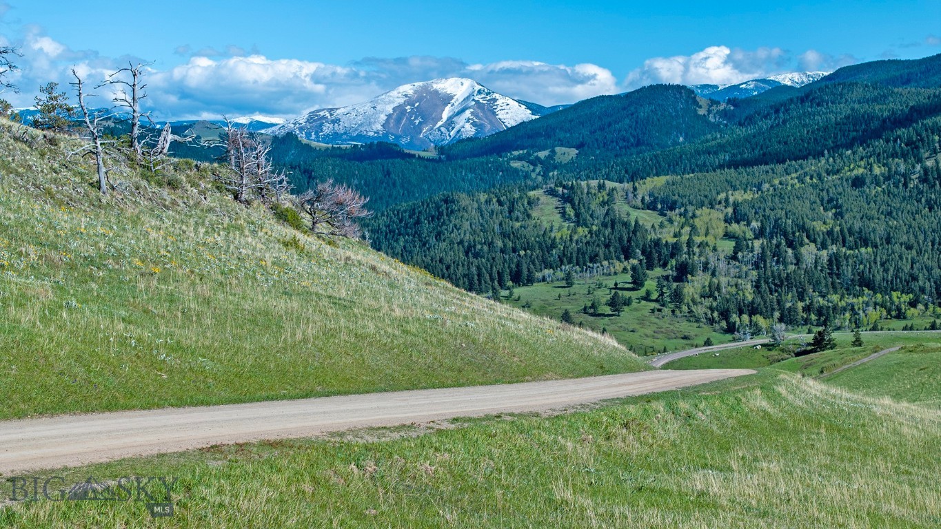 Tbt Bruffy Property Photo 19