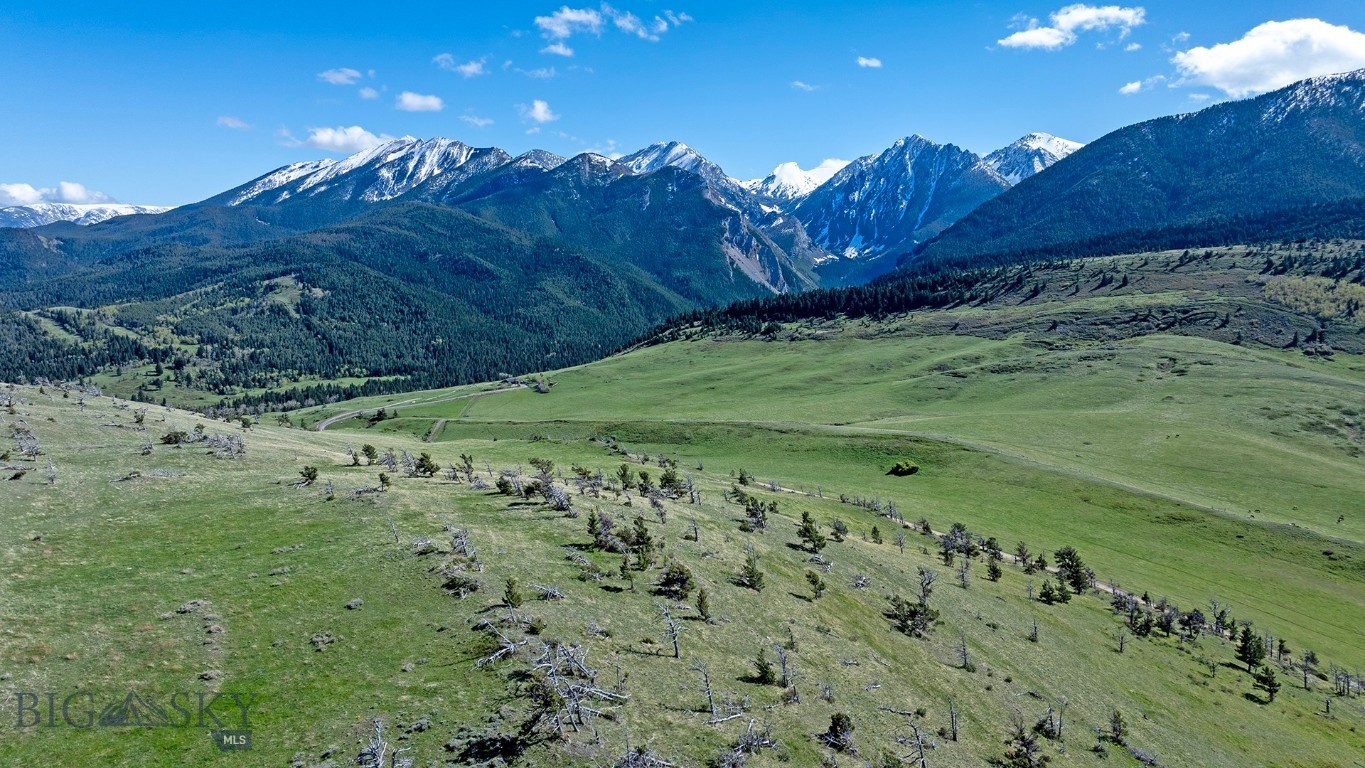 Tbt Bruffy Property Photo 20