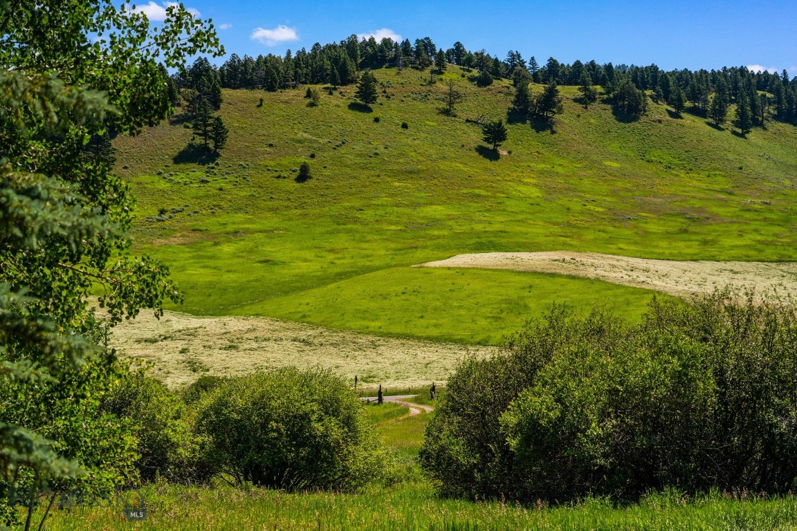 Tbd Jackson Creek Road Parcel B Property Photo 19