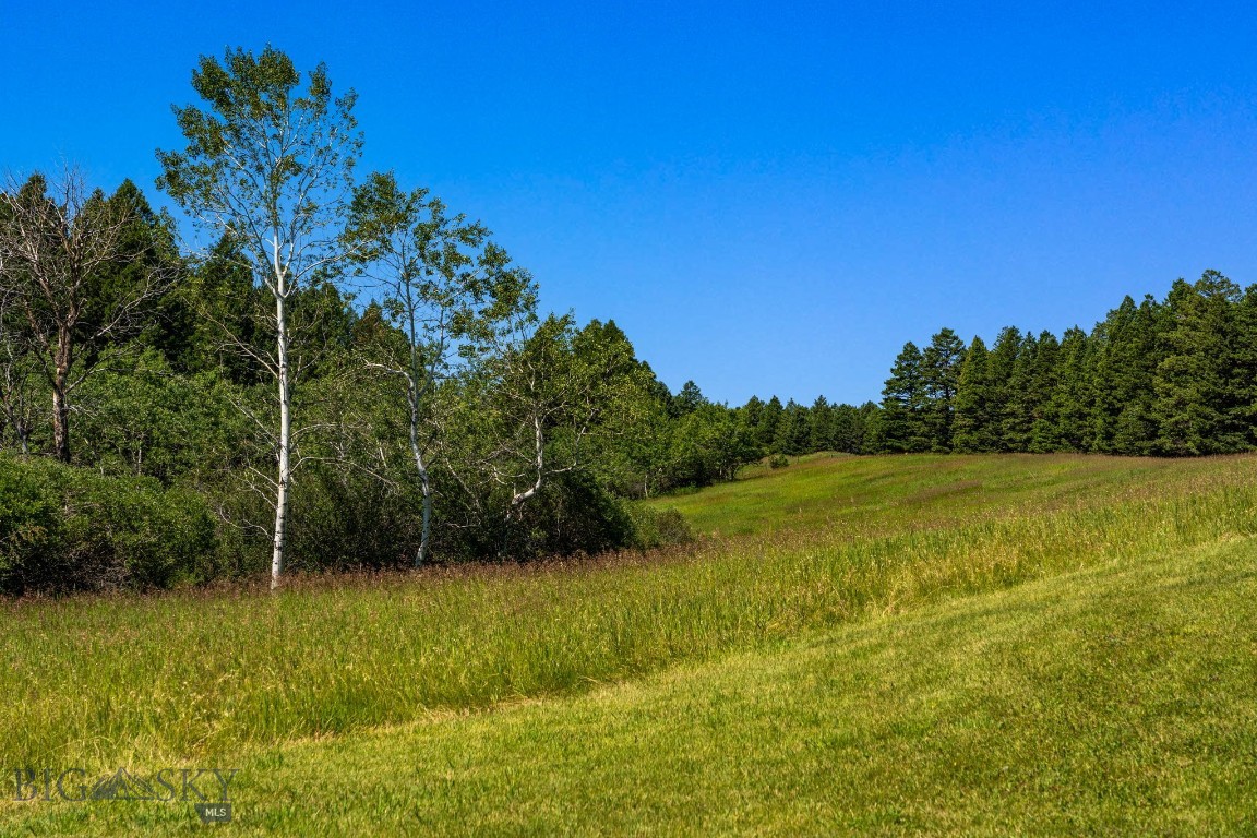 Tbd Jackson Creek Road Parcel B Property Photo 20